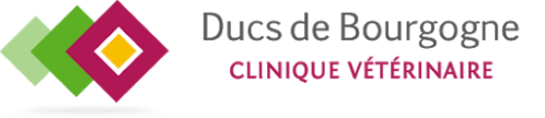Clinique vétérinaire des Ducs de Bourgogne